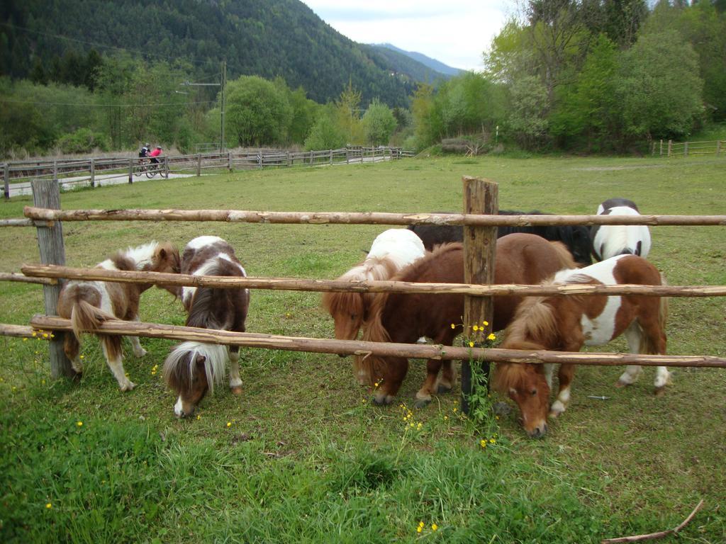 Winnewieser Vandoies Exterior foto
