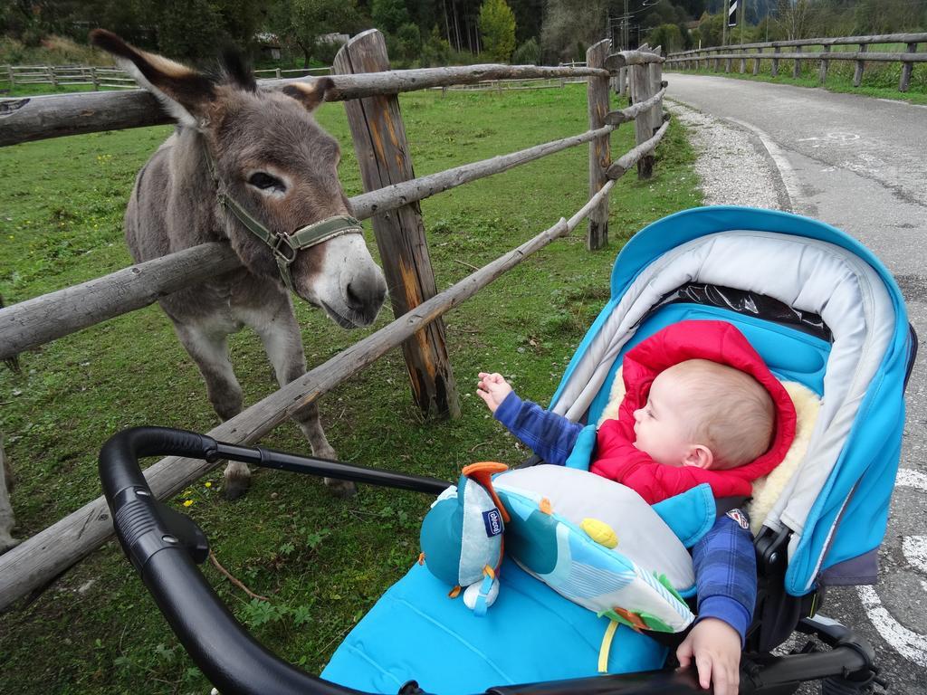 Winnewieser Vandoies Exterior foto